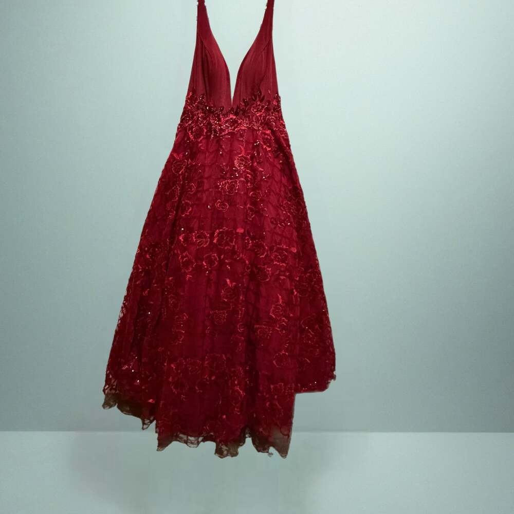 Aspeed Design  Red Embellished Lace and Chiffon A-Line Formal Gown